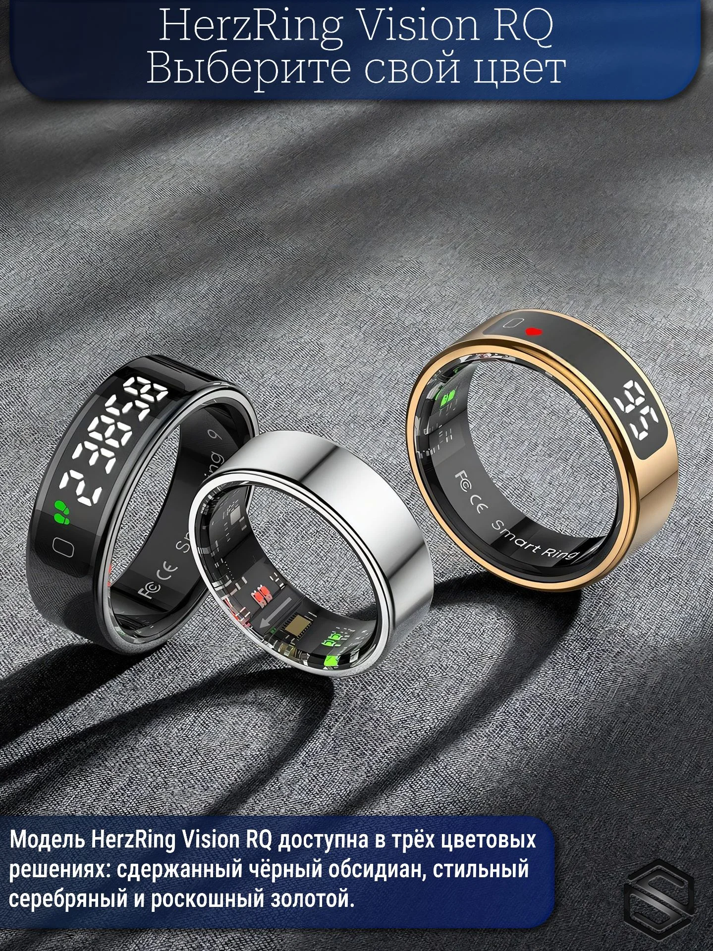 Gamma Vision Rq (1)